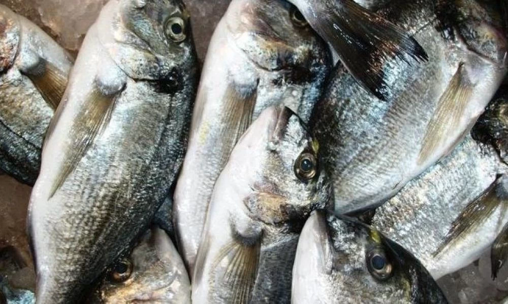 "Μπράβο μας"! 42 εκ. $ πληρώσαμε το 2020 για ¨τουρκικές¨ τσιπούρες